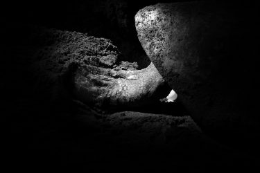 Una vez realizada la puesta, la tortuga tapa y compacta el nido con las extremidades traseras para que los depredadores no lo tengan fácil a la hora de encontrarlo y para que no sea arrastrado por las mareas.